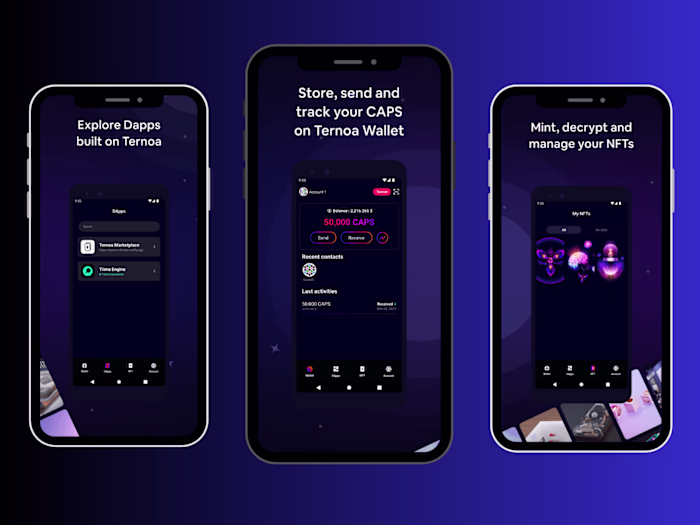 Ternoa Wallet | React Native Dapps