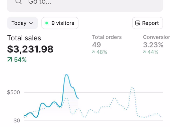 Performance-Based Ad Strategy for Q4 Shopify Success