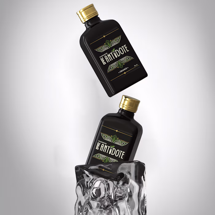 Brand Collateral and 3D Visualization