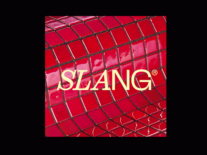 Slang streetwear brand design