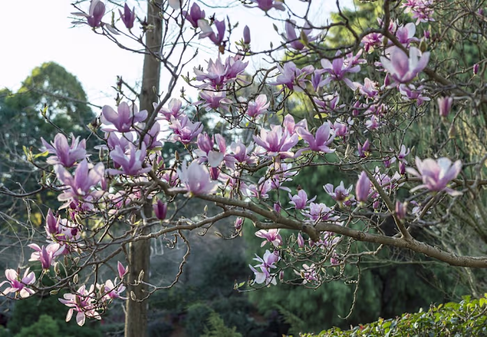 The Art of Outdoor Photography and Nature Exploration