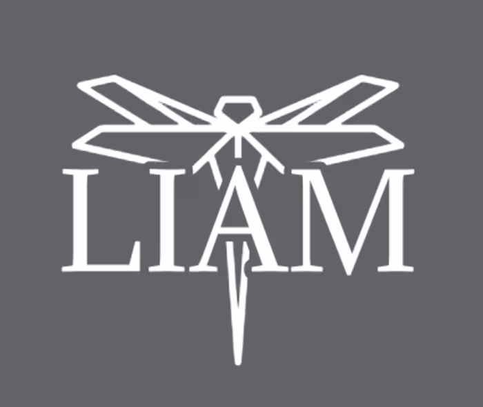 Logo Design for my Brand Identity