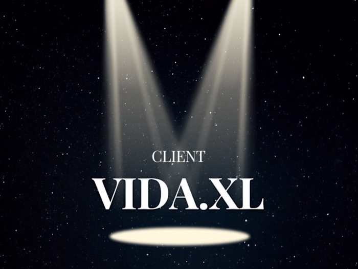 Comprehensive Digital Marketing/Translation for vidaXL