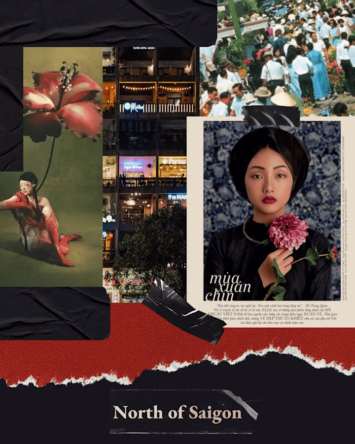 The North of Saigon Passion  Project