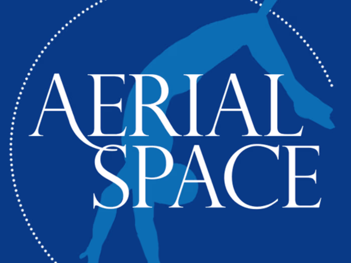 Aerial Space branding