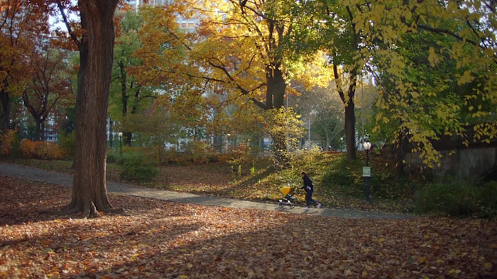 Bugaboo "Wandering Star"