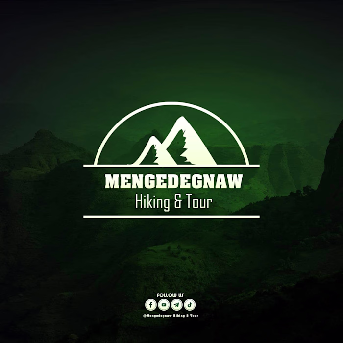 Logo and Brand Identity Design