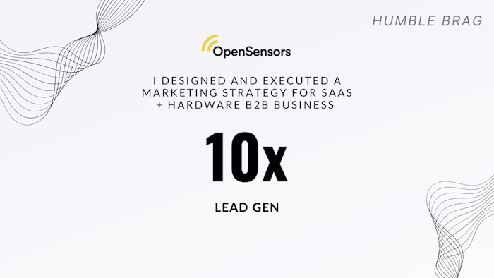 Designed and executed a Marketing Strategy for B2B SaaS 