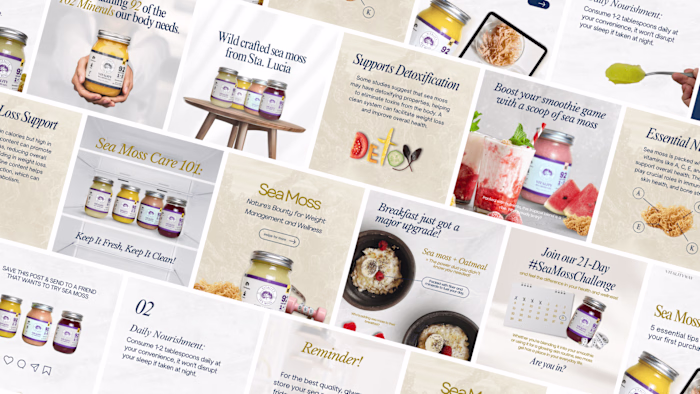 Nourish, Inspire, Thrive: Social Media Designs for Vitality Way