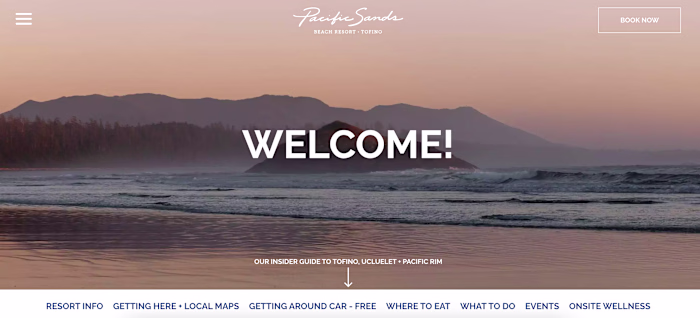 Website Management + Copy 