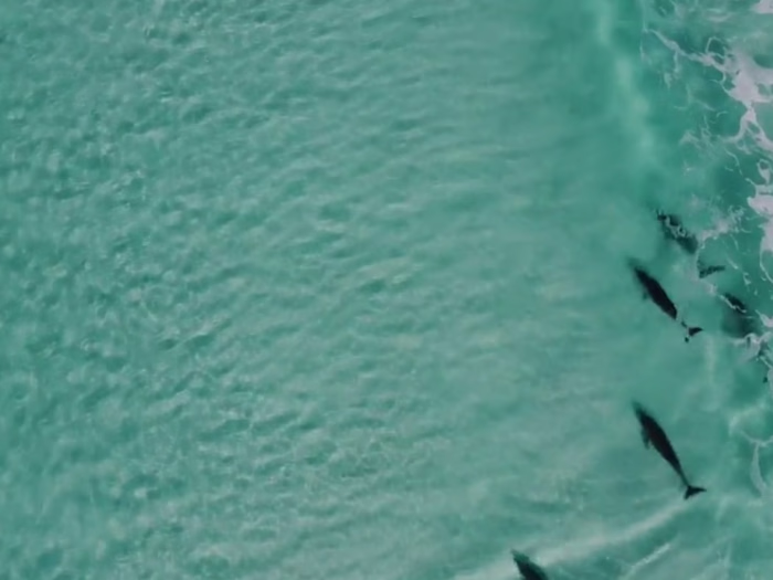 Chill Epic Surf - Live Surf Conditions & Community