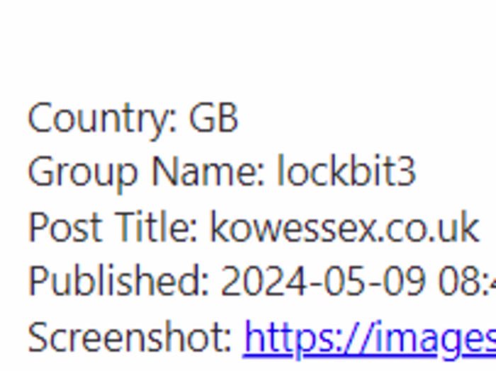Automated Ransomware Group Activity
Tracker and Alert System
