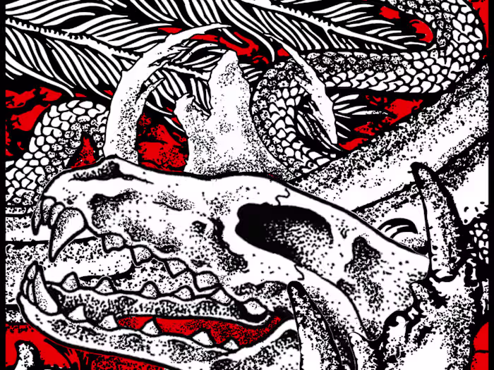 Illustration - Cantakeraous Carcass