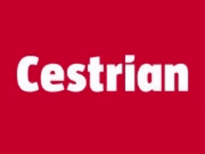 Cestrian - Paid Social and Search campaign 