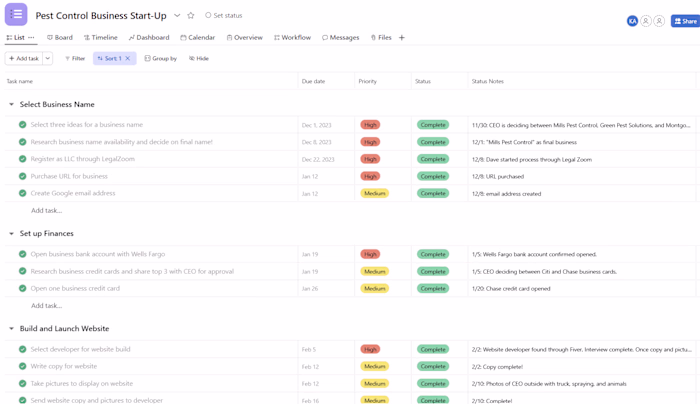 Project Management for a Business Launch