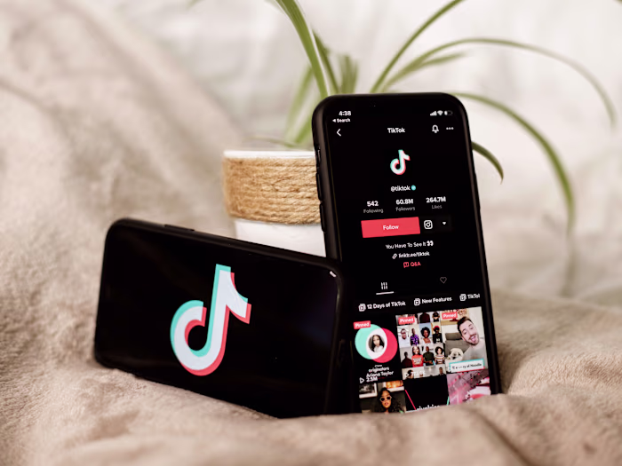 How to master the TikTok algorithm and create videos that gain …