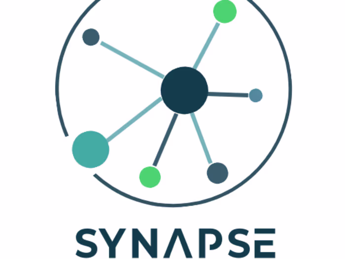Synapse Accounting Group - SEO & Website Revision