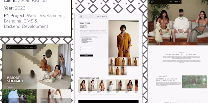 I Built a Custom Shopify Website with Webflow