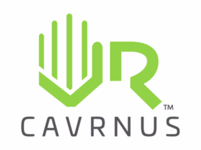 Long-Term, Head of QA Engineering for Metaverse Startup