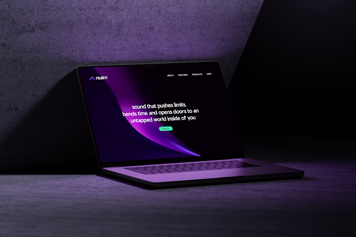 Realm Headphones- Brand Identity Design