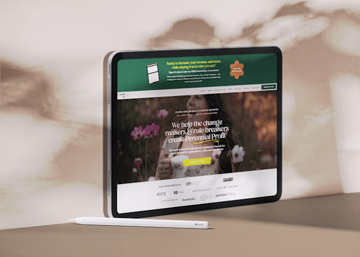 Brand, marketing, and web design for an online entrepreneur