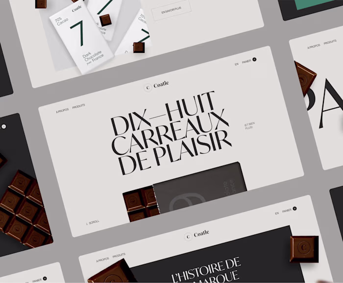 Coatle Website design concept