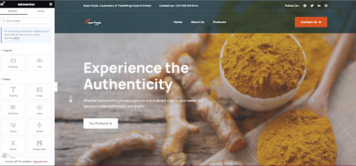 Biyex Foods: Deliciously Crafted with WordPress Elementor