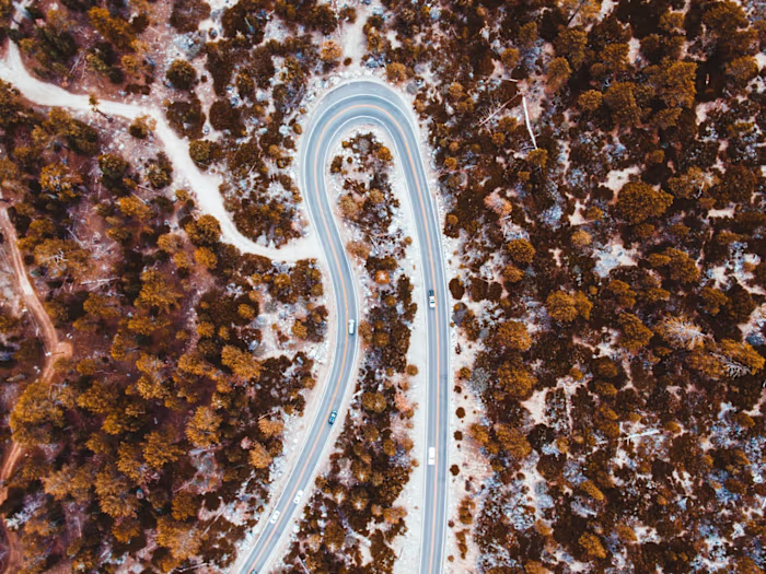 Helping a logistics titan rebrand for digital.