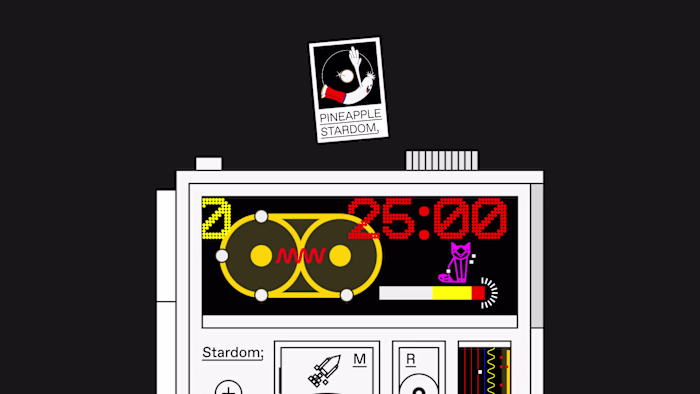 Pineapple Stardom (Expansion and Branding)