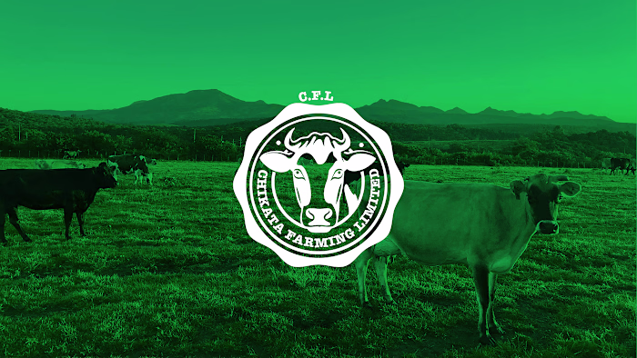 Chikata Visual Identity Design