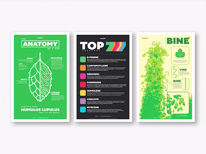 hopp[ED]™ Educational Posters for HOOH Hops