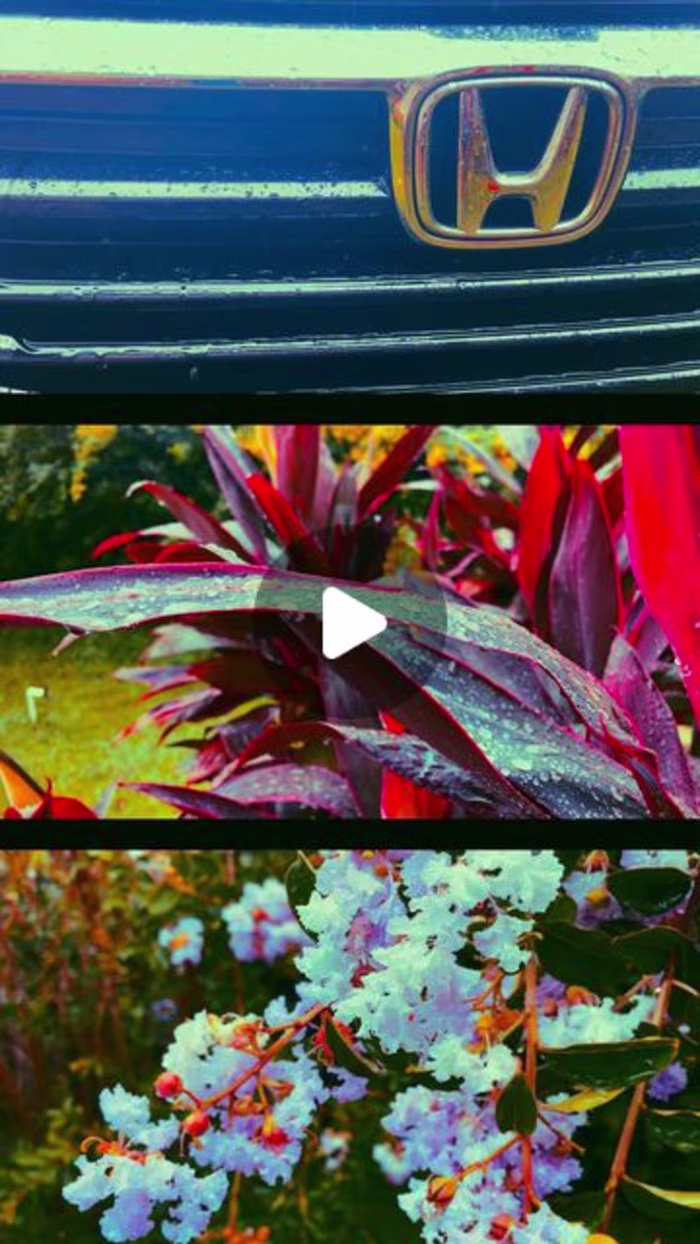 STEKK Media | Content Marketing on Instagram: “Capture everythi…