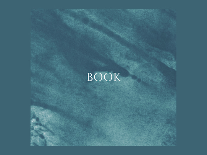 Book snippet, Personal development topic