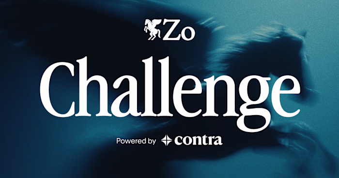 ZoChallenge — AI-Powered Search & Scraping