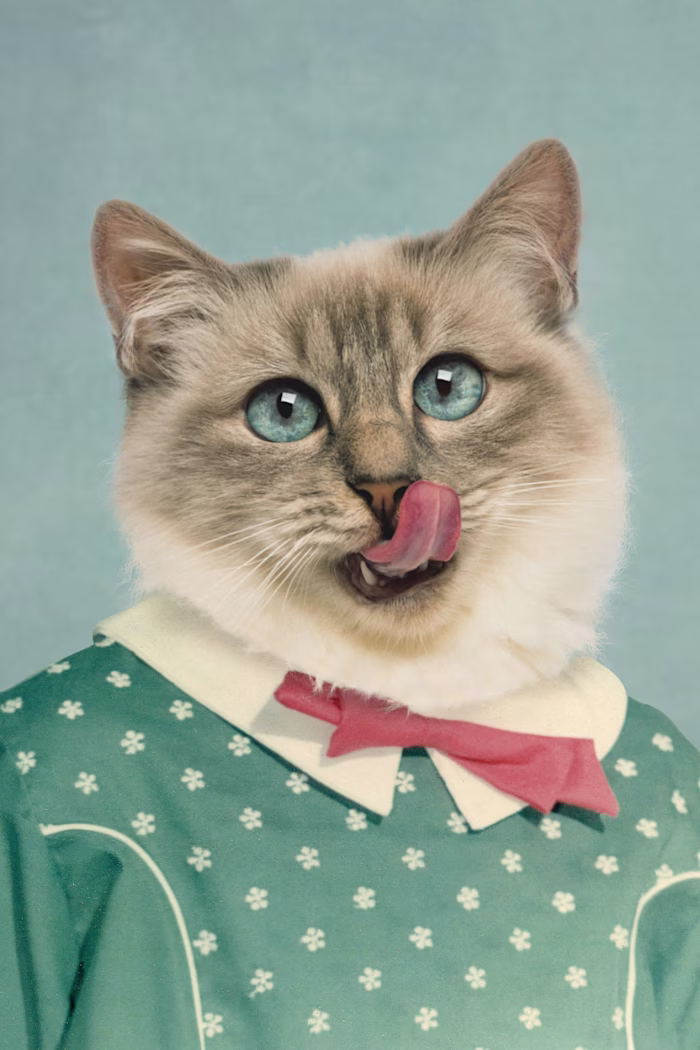 Pretty Pet Portrait Composites