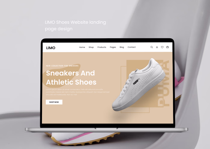 Shoe Website design :: Behance