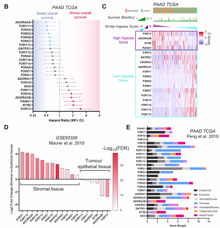 Data Mining of Public Datasets for Cancer Research