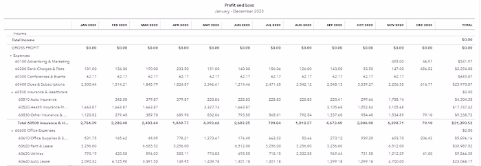 Profit & Loss Statement