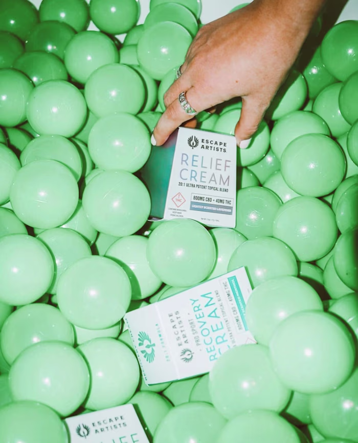 Photography: Escape Artists