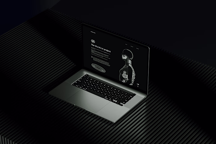 Anima Labs - A Unique project requires 
a unique look!