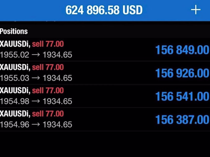 I will be expert hedge fund, hedge wealth capital manager