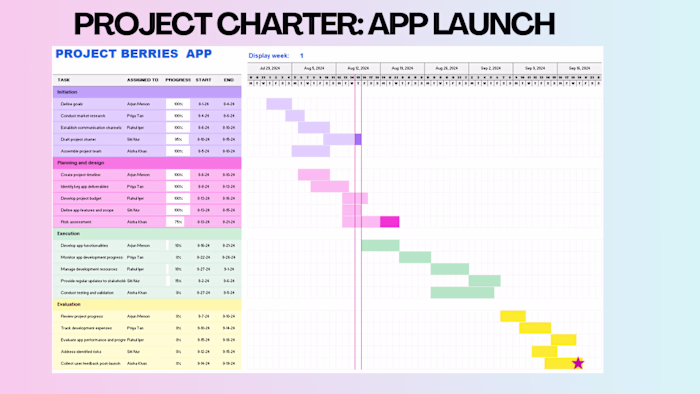 Project Manager | Charter, Technical Writing & Process Flow Maps