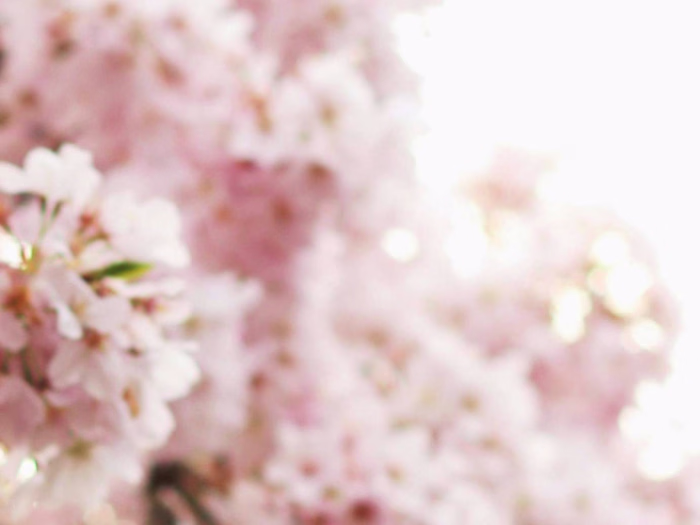 Audio Editor For A Youtube Channel