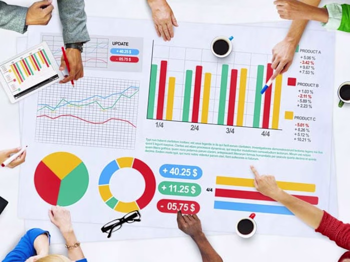 Customized Statistical Solutions