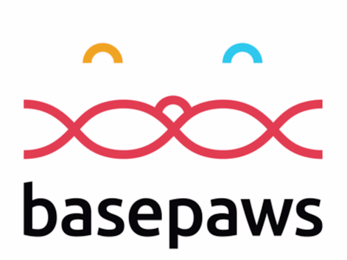 TikTok Pet Content Creator