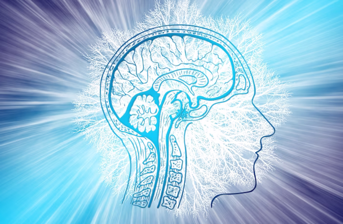 Journalism - Do Psychedelics Change Beliefs?