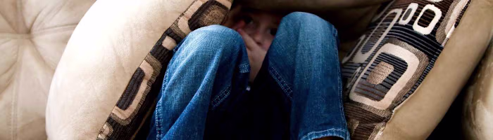 Spider Encounter and Human Instincts