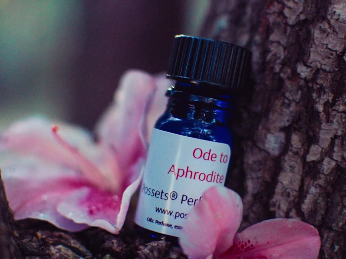 Possets Landing Page Copy 