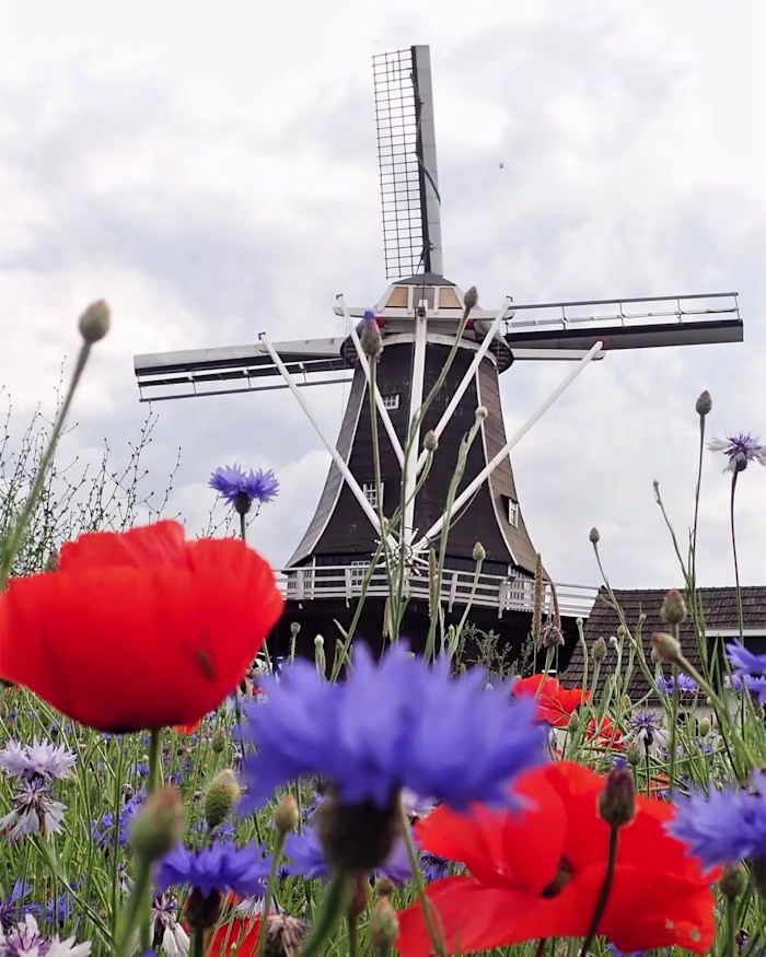 Custom Webflow website for a national monument