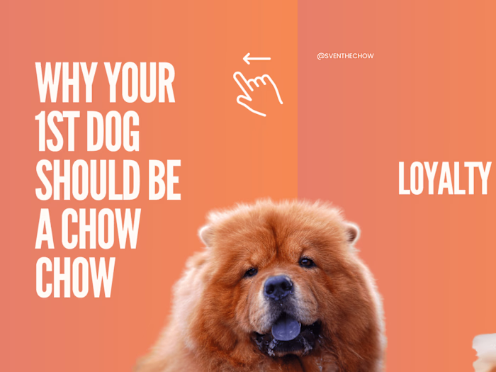 Social media contents created with Canva 